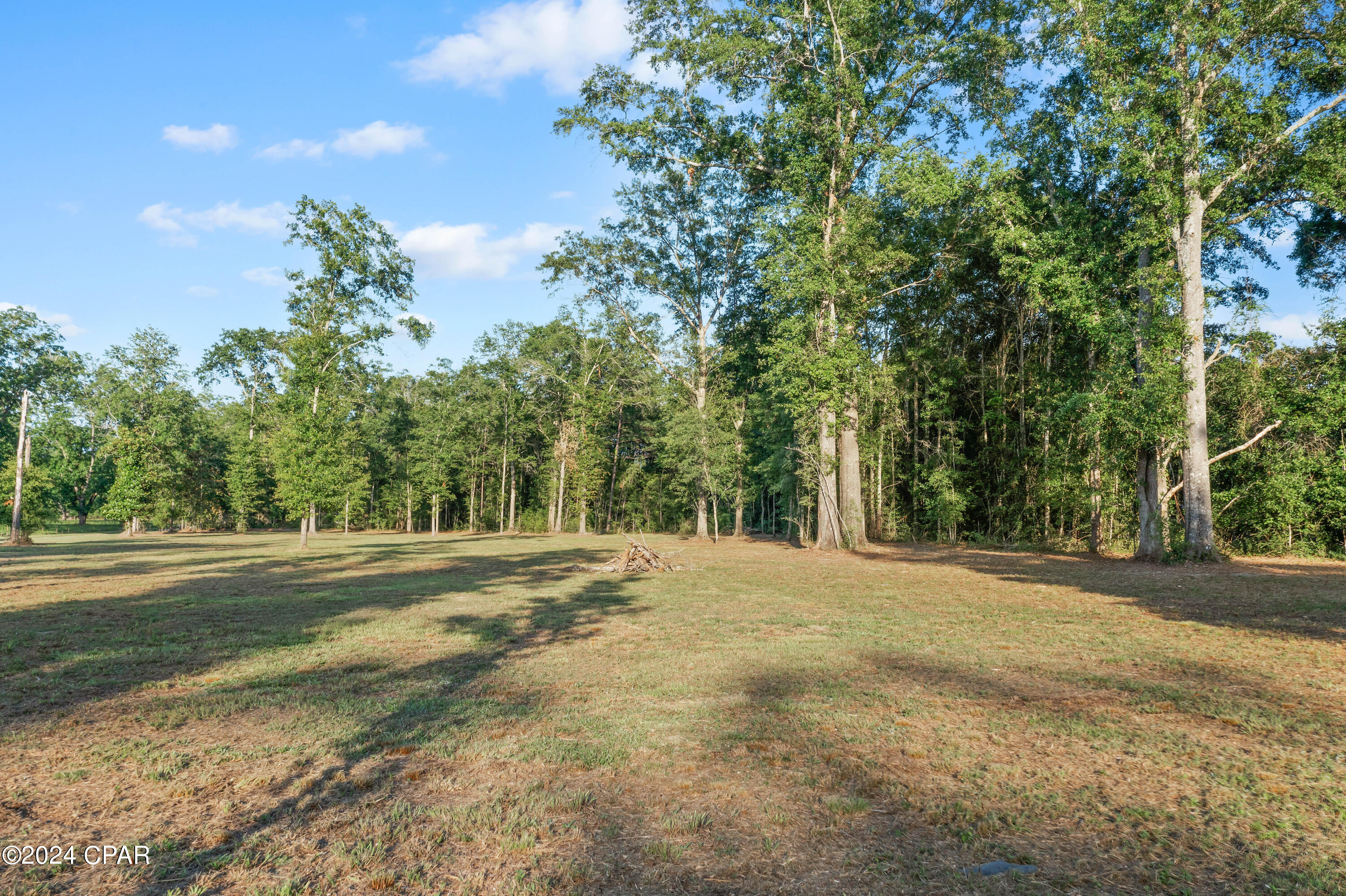 1411 Gainer Road Chipley, FL 32428 - Photo 13 of 15