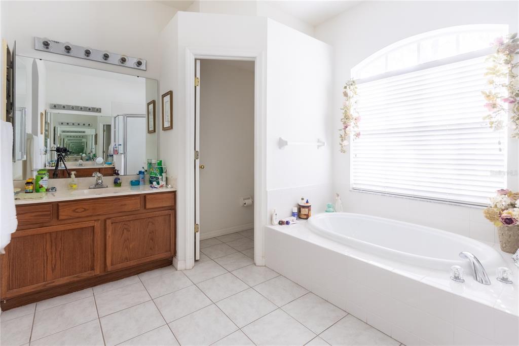 1812 Flower Branch Way Valrico, FL 33594 - Photo 10 of 42 a spacious bathroom with a bathtub sink and mirror