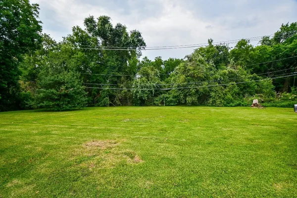a view of a field with a tree