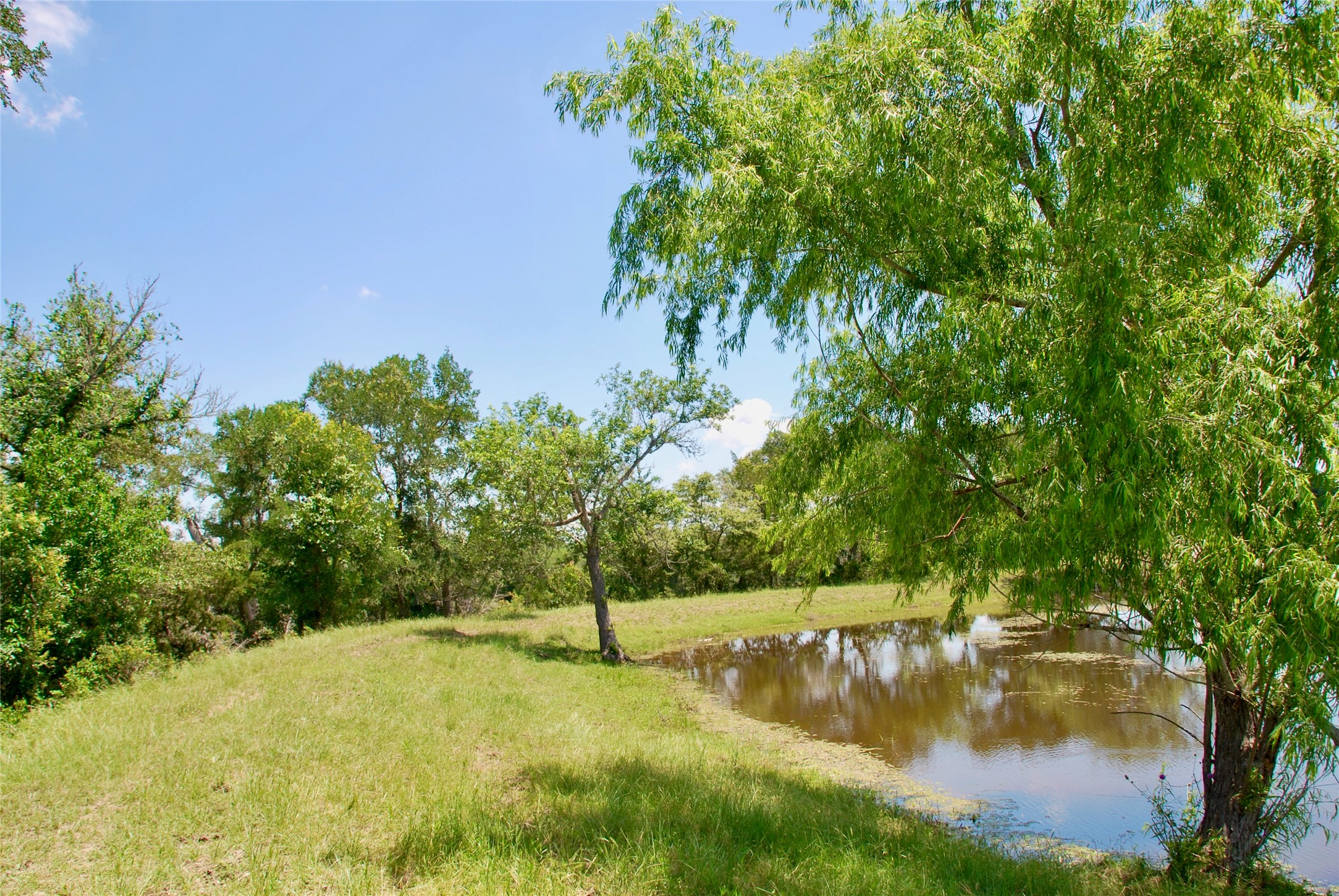 3703 Muehr Road Weimar, TX 78962 - Photo 26 of 29