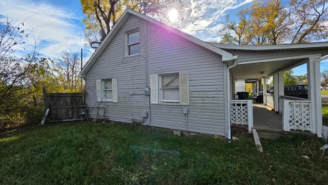 a view of a backyard with plants and a large tree
