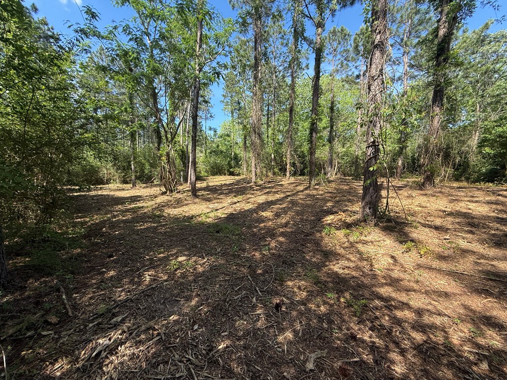 Lot 3 County Road Slocomb, AL 36375 - Photo 12 of 18