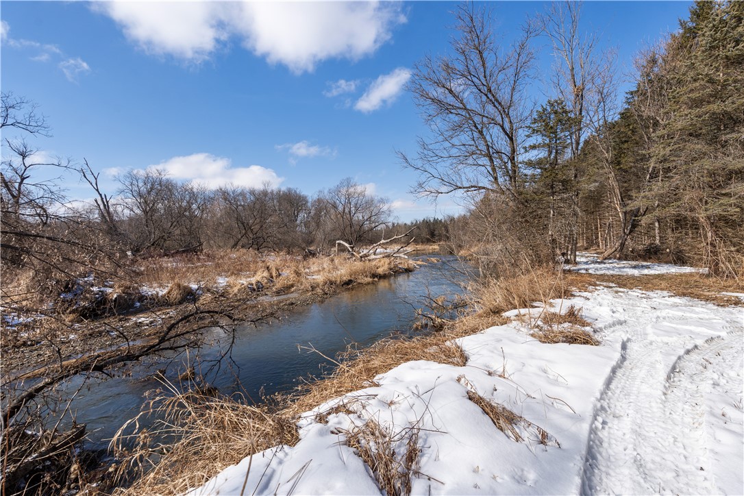 9080 75a Southwest Avoca, NY 14809 - Photo 4 of 34