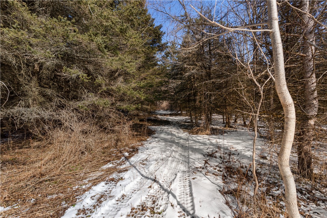 9080 75a Southwest Avoca, NY 14809 - Photo 6 of 34