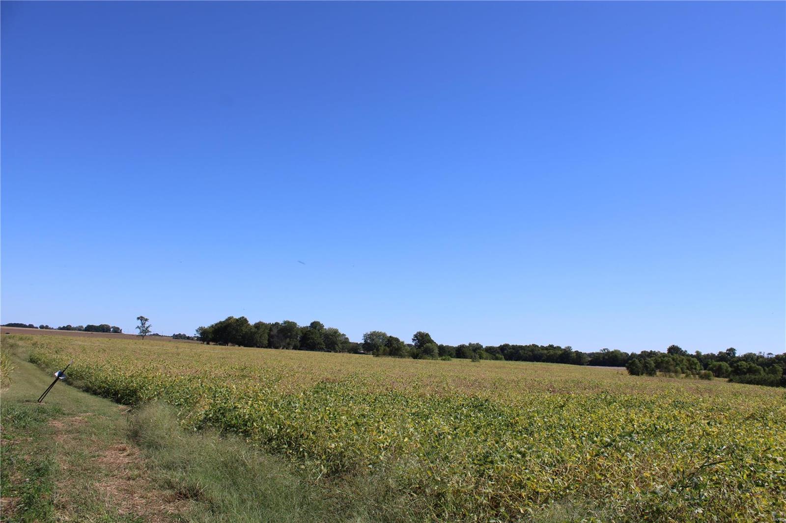 911 Deer Ridge Troy, IL 62294 - Photo 18 of 41