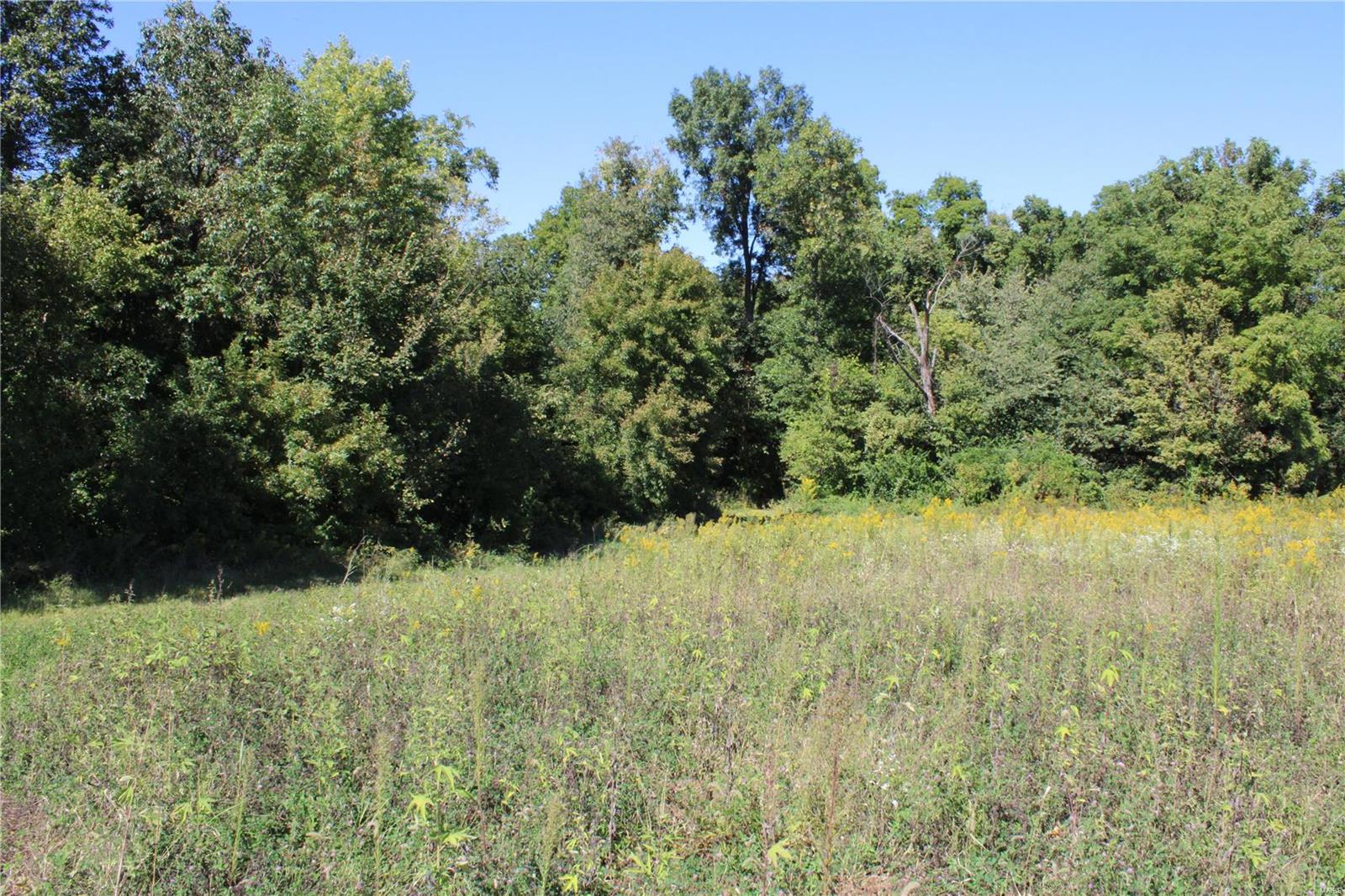 911 Deer Ridge Troy, IL 62294 - Photo 20 of 41
