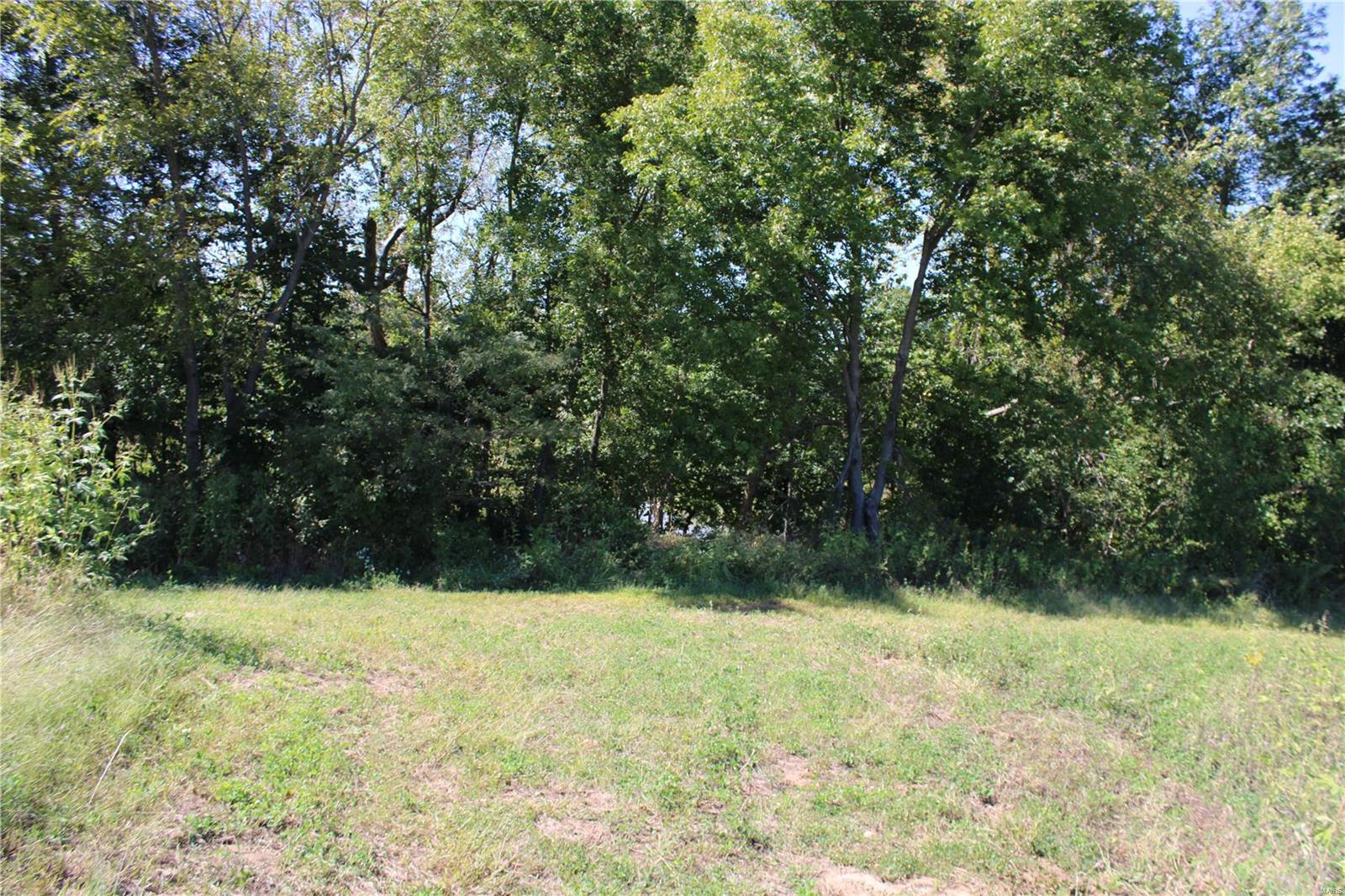911 Deer Ridge Troy, IL 62294 - Photo 21 of 41