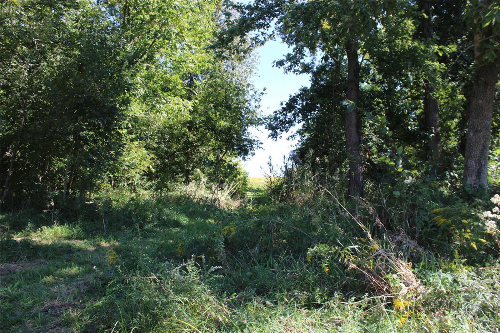911 Deer Ridge Troy, IL 62294 - Photo 23 of 41