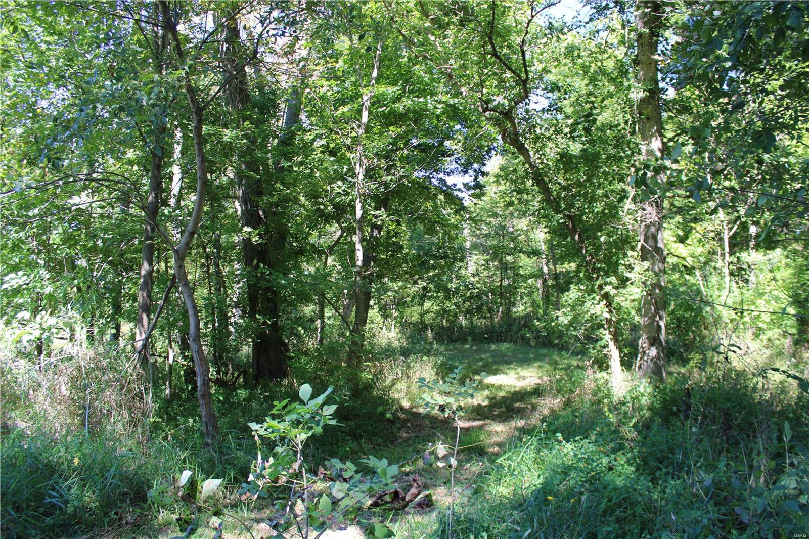 911 Deer Ridge Troy, IL 62294 - Photo 27 of 41