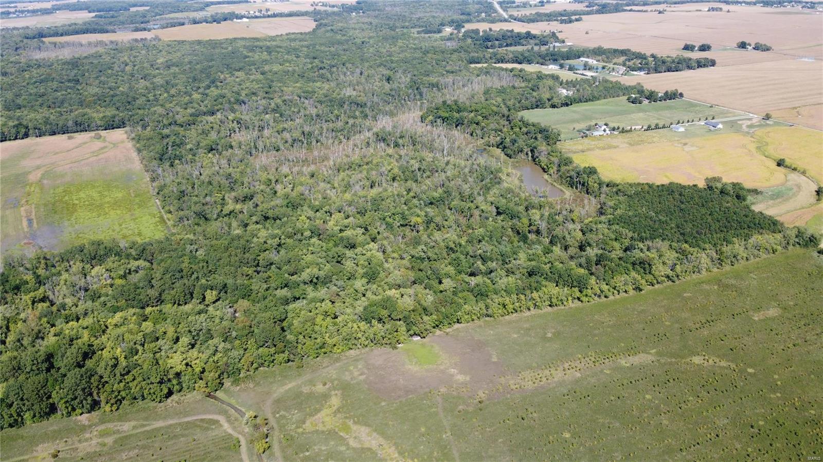 911 Deer Ridge Troy, IL 62294 - Photo 7 of 41