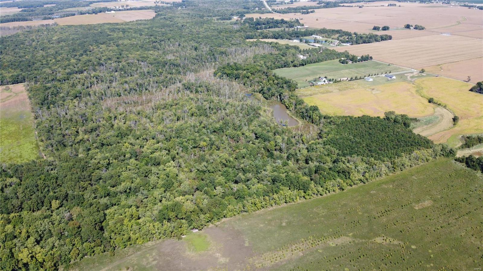 911 Deer Ridge Troy, IL 62294 - Photo 8 of 41