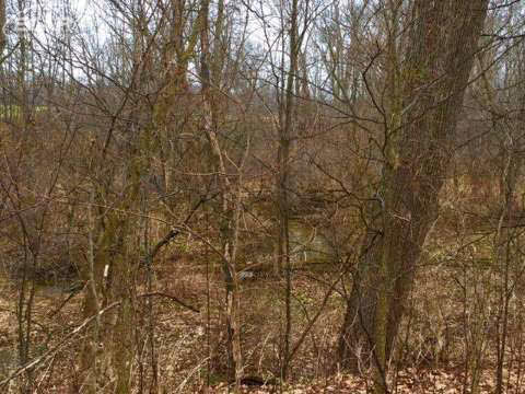4545 Courtney Road Montrose, MI 48457 - Photo 21 of 22 20435072-20.JPG
