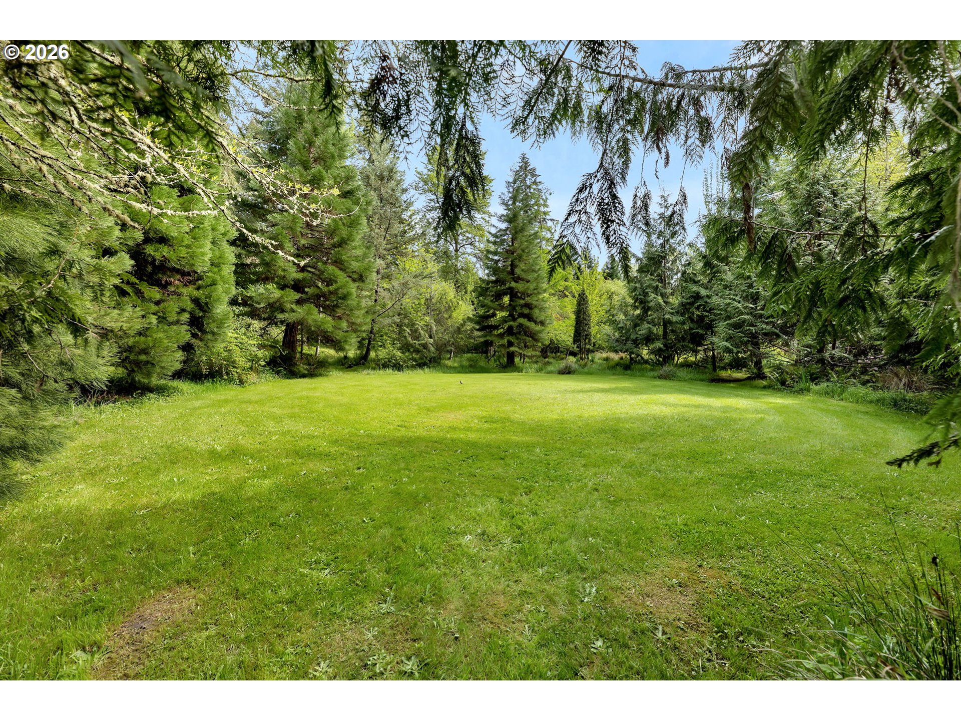 29909 Northwest 51st Avenue Ridgefield, WA 98642 - Photo 39 of 48 a backyard of a house with lots of green space