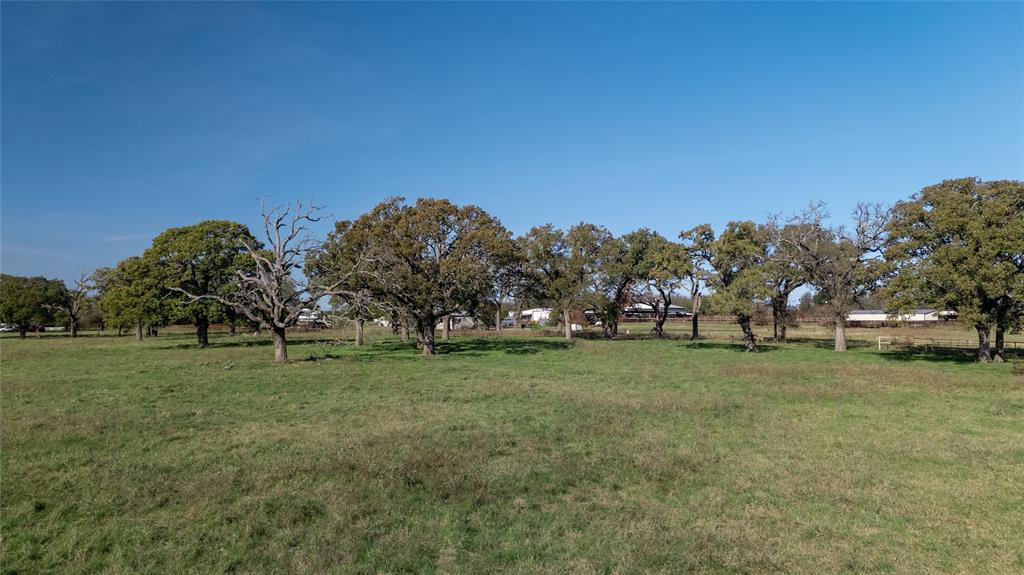 0 Cr-4059 Kemp, TX 75143 - Photo 13 of 21 a view of a trees in a field
