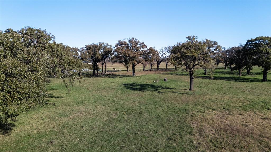0 Cr-4059 Kemp, TX 75143 - Photo 14 of 21 a view of a tree in a yard