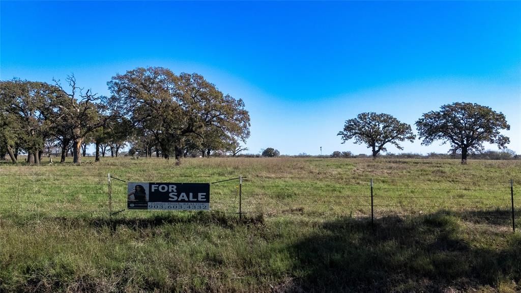 0 Cr-4059 Kemp, TX 75143 - Photo 3 of 21 a view of a lush green space