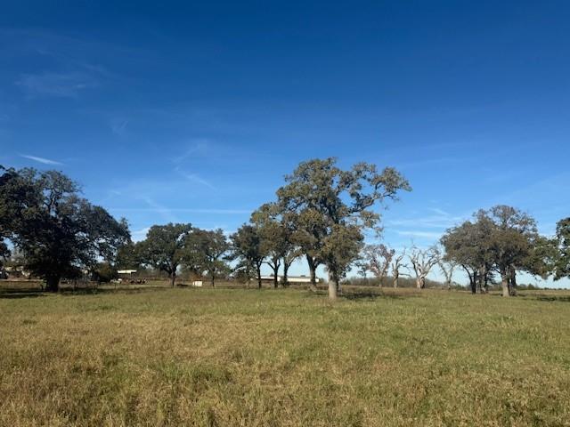 0 Cr-4059 Kemp, TX 75143 - Photo 7 of 21 a view of outdoor space with trees