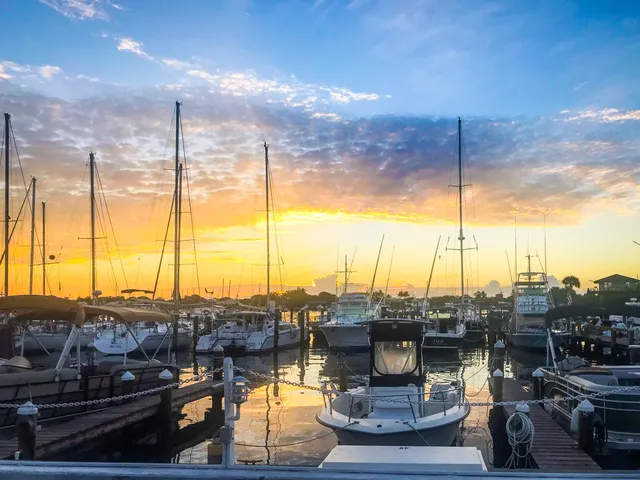a view of a lake with boats and trees