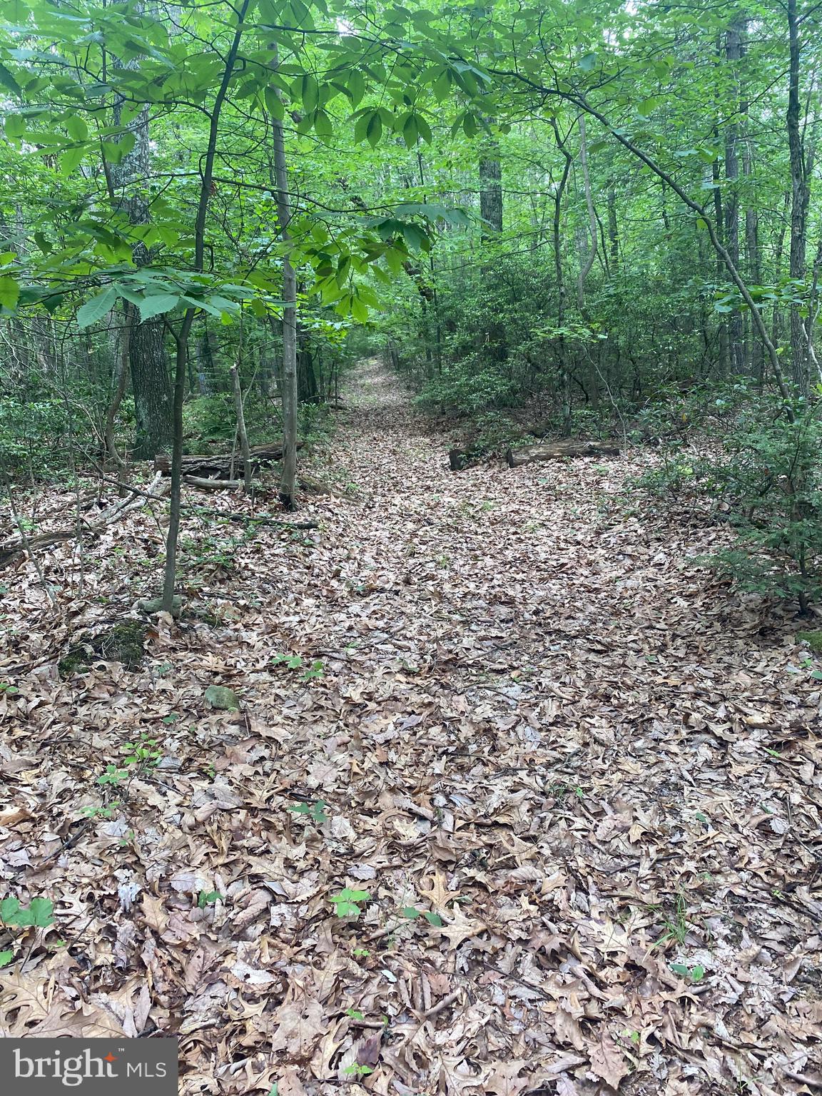 0 New Ridge Road Millerstown, PA 17062 - Photo 4 of 14 Trail at end of ROW, can see most pins from trail
