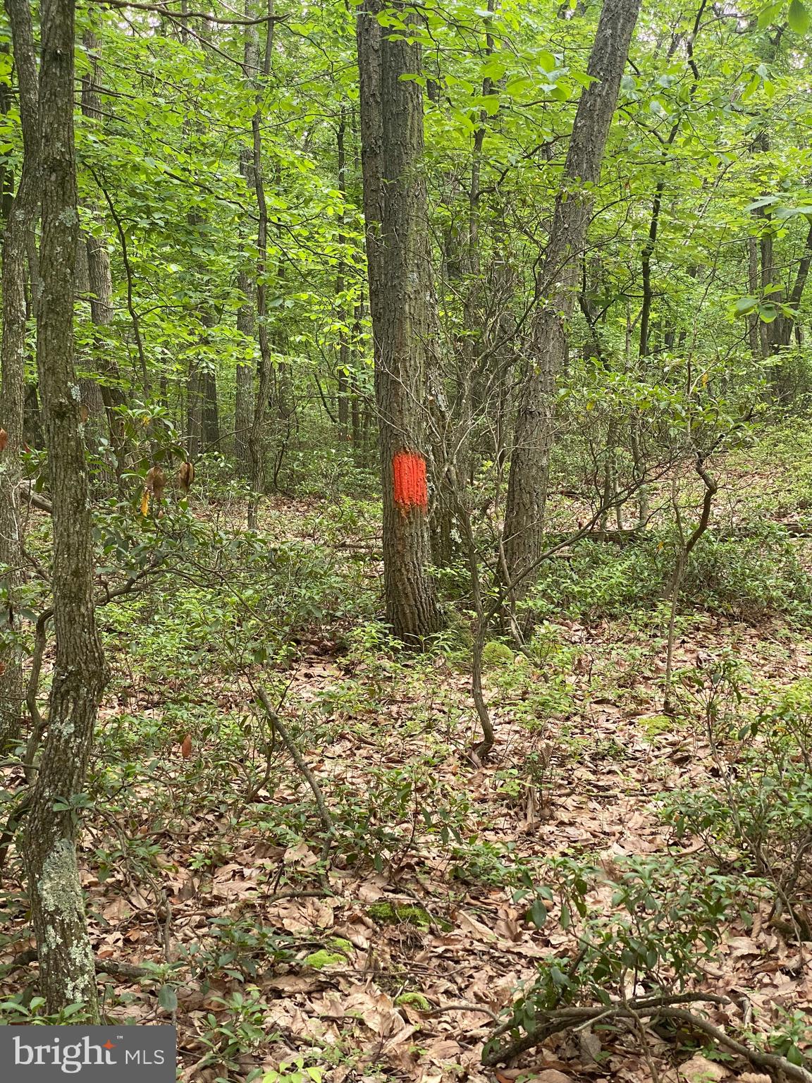 0 New Ridge Road Millerstown, PA 17062 - Photo 8 of 14 Markers along diagonal (see docs)