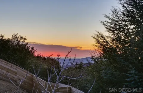 a view of a city with lush green forest