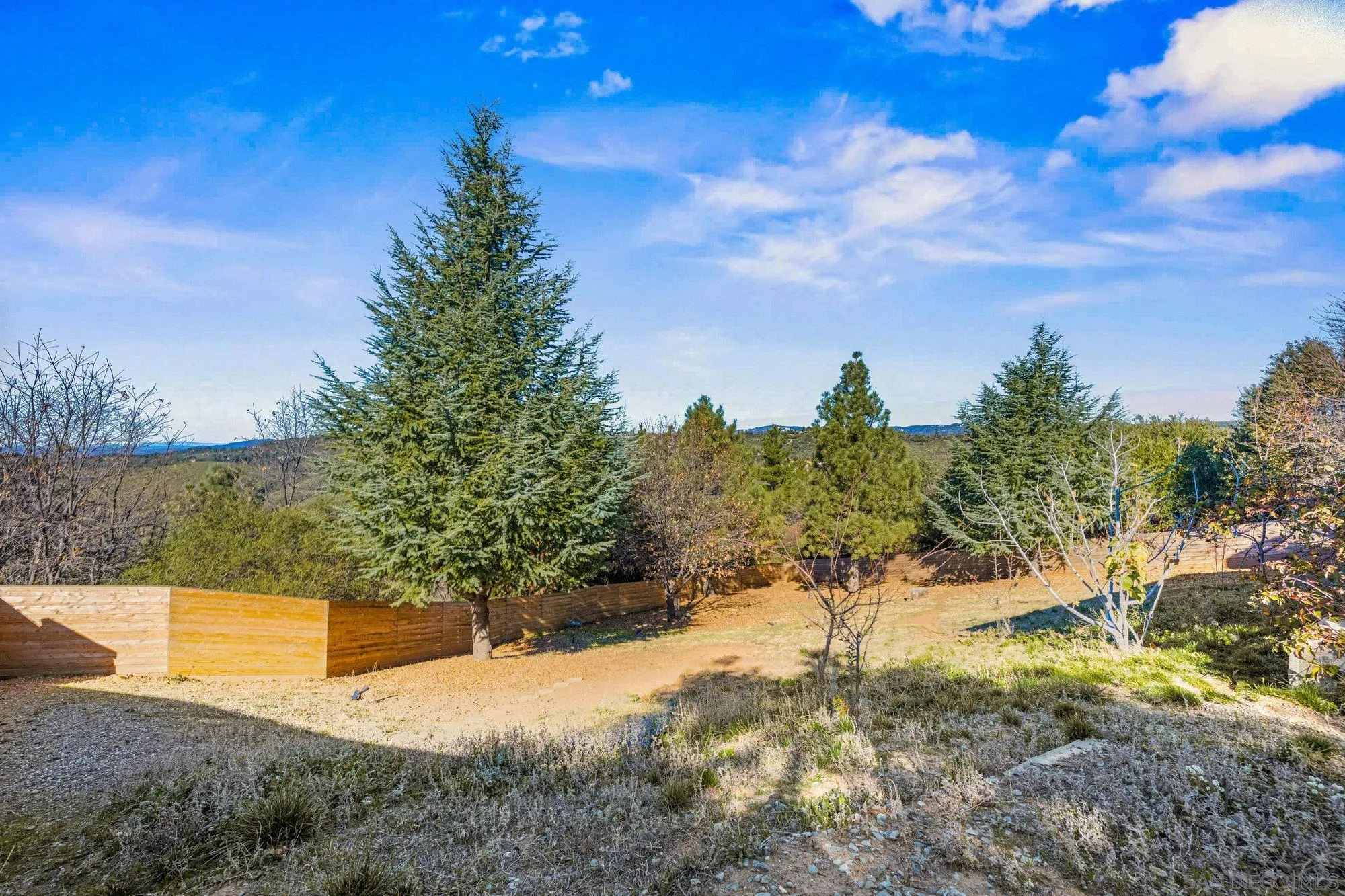 5058 Acorn Patch Road Julian, CA 92036 - Photo 5 of 32 a view of a yard with trees in the background