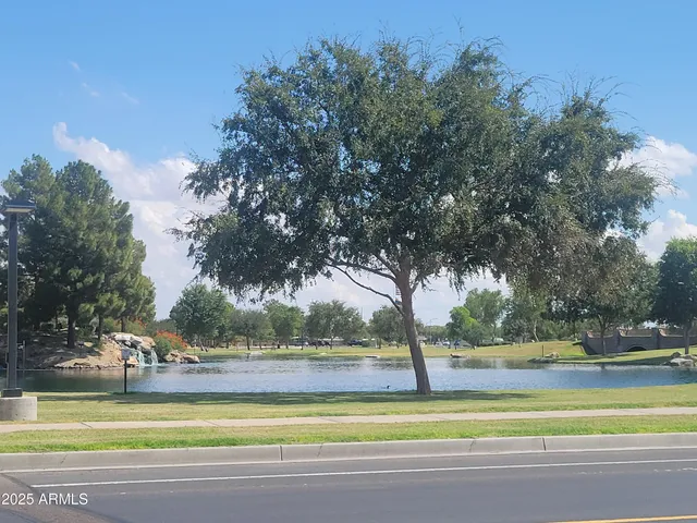 a view of a swimming pool with large trees