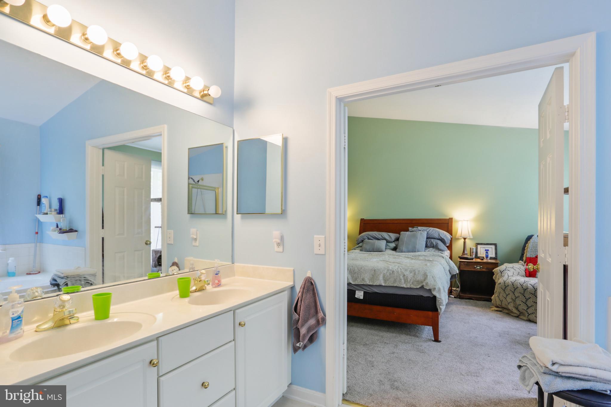 15129 Deer Valley Terrace Silver Spring, MD 20906 - Photo 11 of 30 Serene primary bath, double sinks, tub & shower.