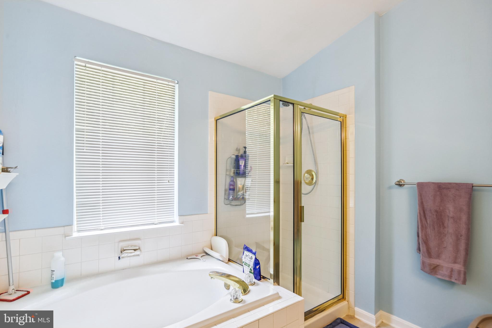 15129 Deer Valley Terrace Silver Spring, MD 20906 - Photo 12 of 30 Bright and airy, large primary bathroom oasis.