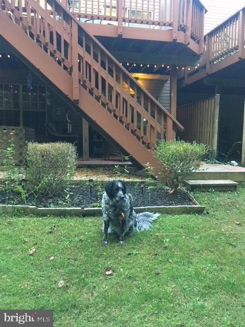 15129 Deer Valley Terrace Silver Spring, MD 20906 - Photo 28 of 30 Charming backyard with a playful pup.