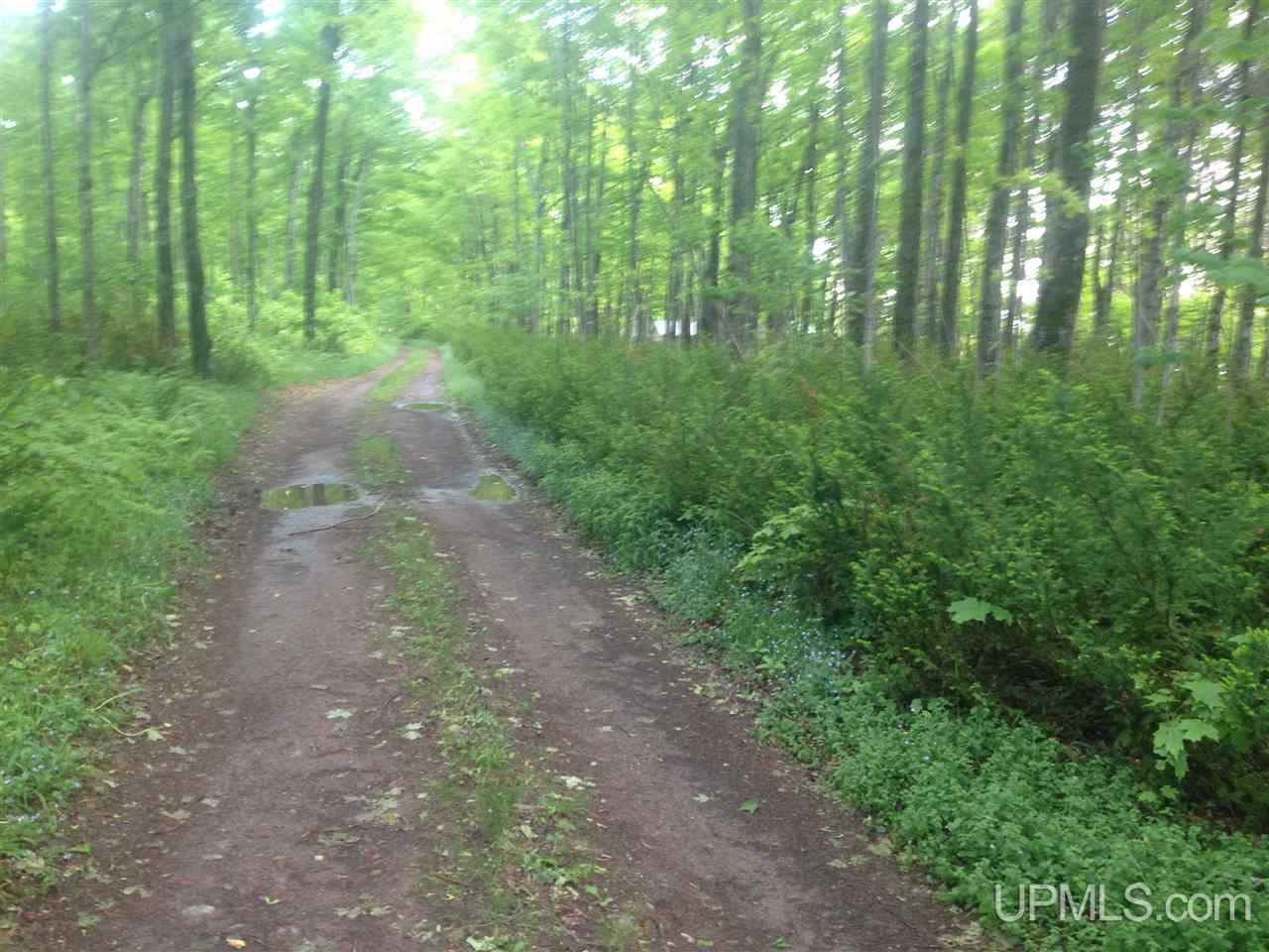 Tbd Luukkonen Camp Road Toivola, MI 49965 - Photo 12 of 19