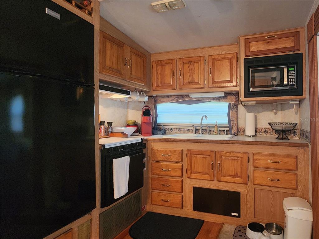 5466 Southwest Highway 358 Steinhatchee, FL 32359 - Photo 14 of 44