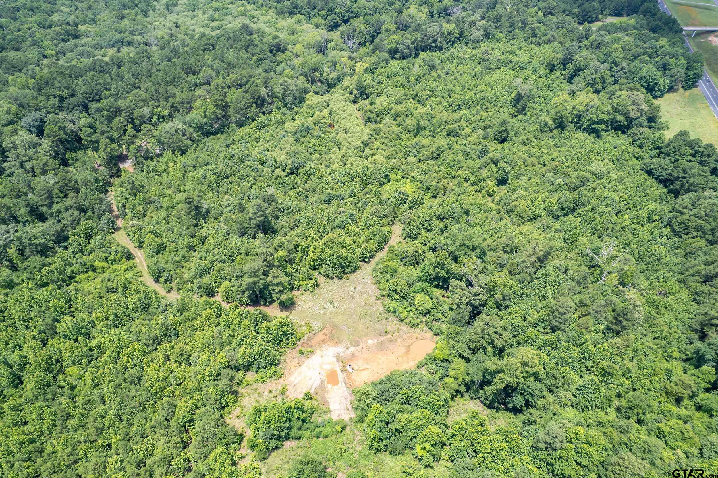 0 C R 353 Tyler, TX 75708 - Photo 14 of 18 a view of a forest with a tree