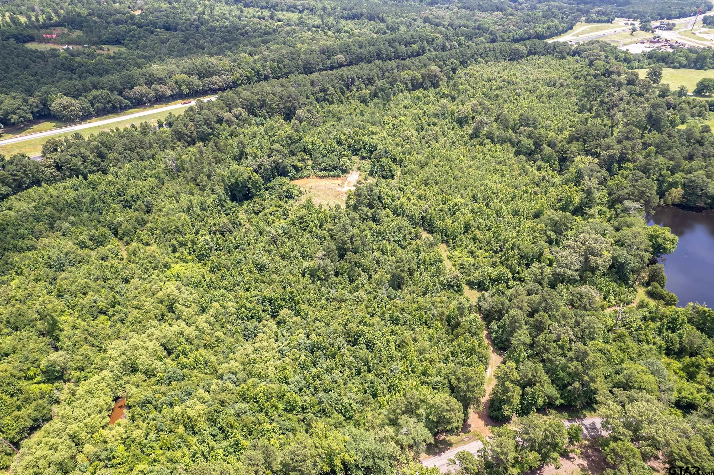 0 C R 353 Tyler, TX 75708 - Photo 4 of 18 a view of a large yard with lots of bushes