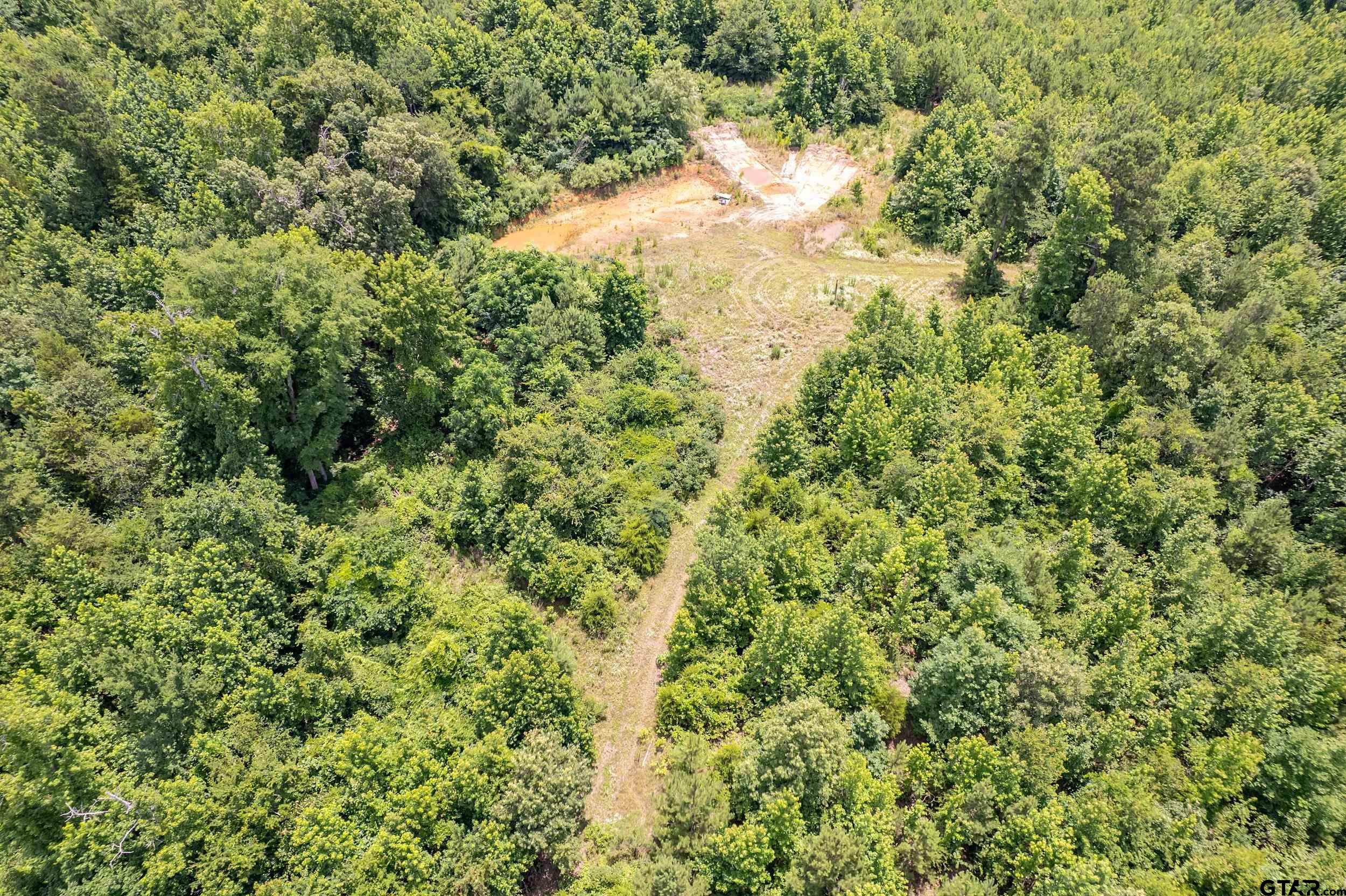 0 C R 353 Tyler, TX 75708 - Photo 7 of 18 a view of a yard