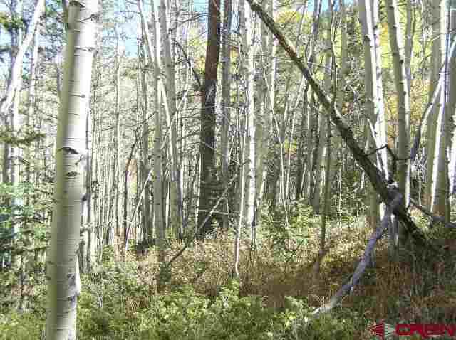 5162 Howard Road Fort Garland, CO 81133 - Photo 1 of 1 Gallery Image 1