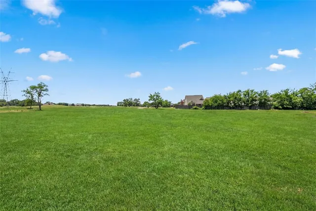 a view of a grassy field with trees