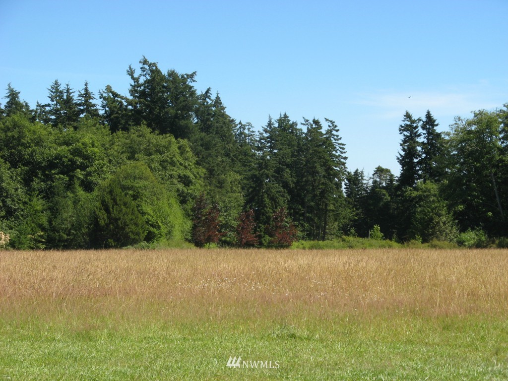 777 Lopez Sound Road Lopez Island, WA 98261 - Photo 13 of 15