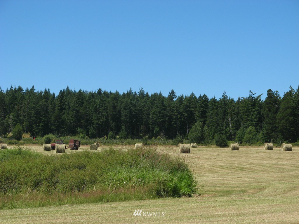 777 Lopez Sound Road Lopez Island, WA 98261 - Photo 14 of 15