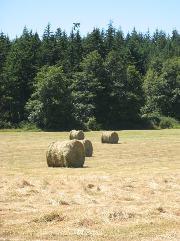 777 Lopez Sound Road Lopez Island, WA 98261 - Photo 15 of 15