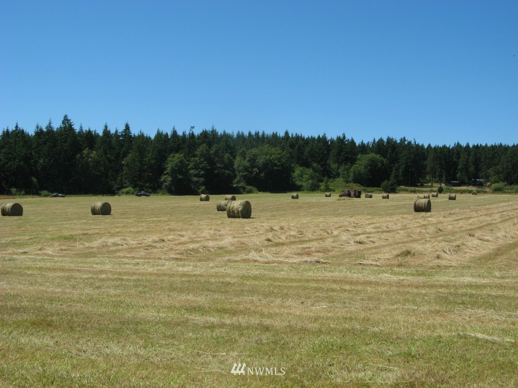 777 Lopez Sound Road Lopez Island, WA 98261 - Photo 3 of 15