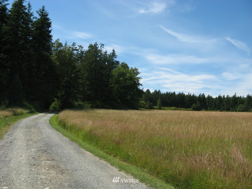 777 Lopez Sound Road Lopez Island, WA 98261 - Photo 5 of 15