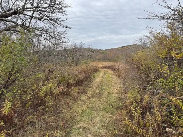 $131,900 | Obi Road, Cuba, NY 14727