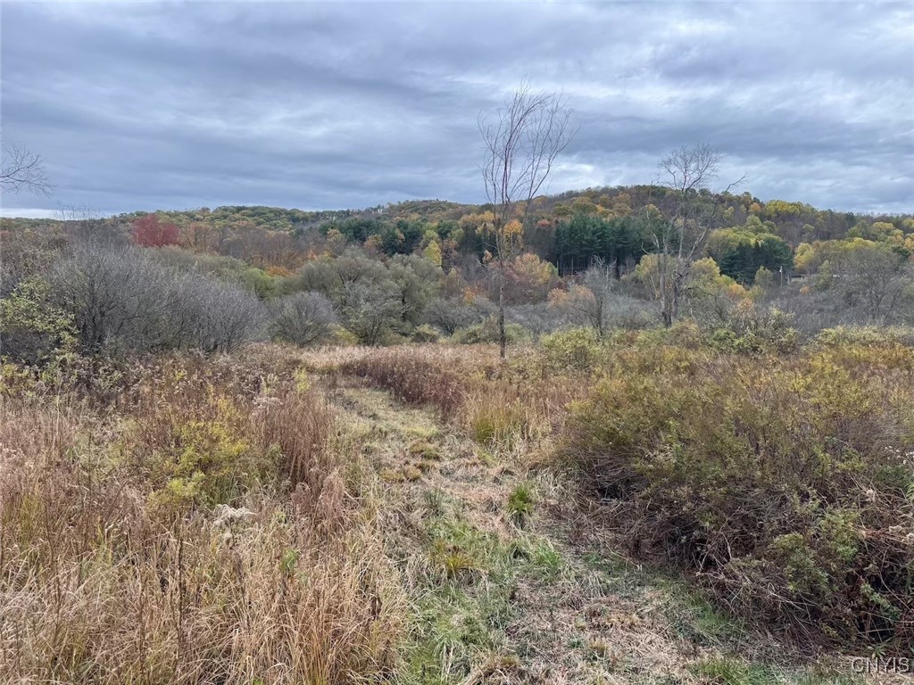 Obi Road Cuba, NY 14727 - Photo 11 of 35