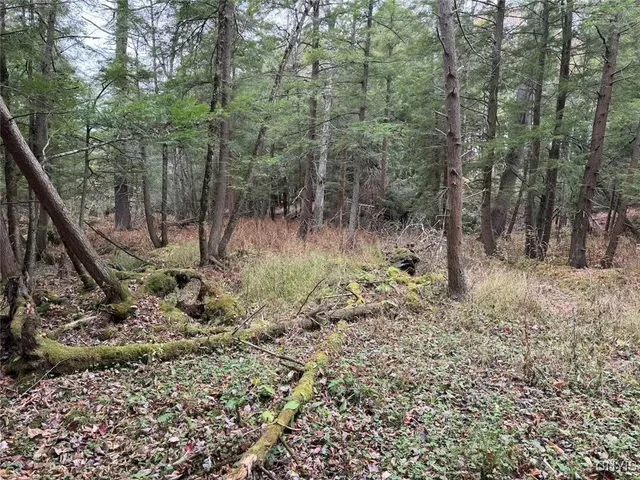 $124,900 | Obi Road, Cuba, NY 14727