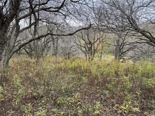 $124,900 | Obi Road, Cuba, NY 14727