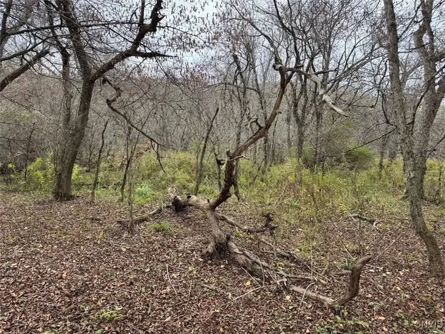 $124,900 | Obi Road, Cuba, NY 14727