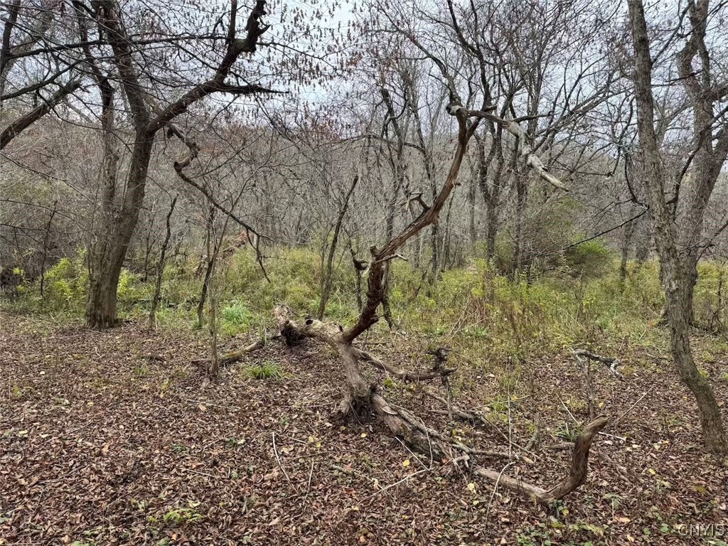 Obi Road Cuba, NY 14727 - Photo 18 of 35