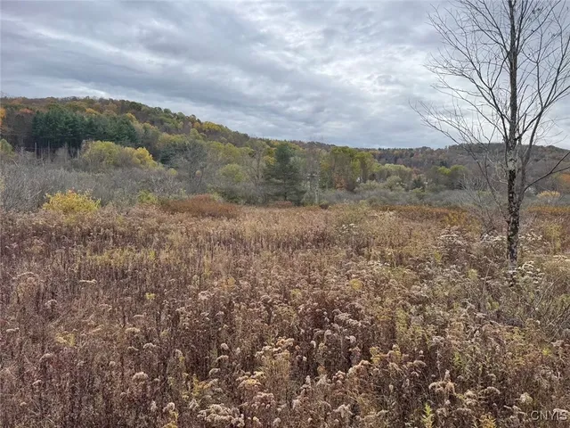 $124,900 | Obi Road, Cuba, NY 14727