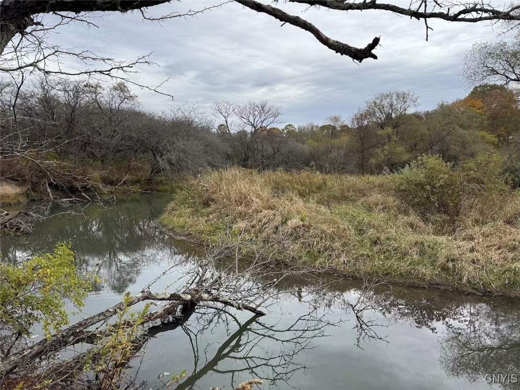 Obi Road Cuba, NY 14727 - Photo 20 of 35